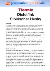 Distelfink - Sibirischer Husky.pdf